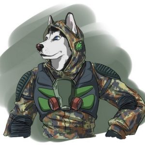 1625717864_24-phonoteka-org-p-stalker-volk-art-krasivo-28