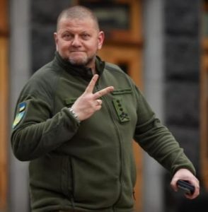 гус_залужн