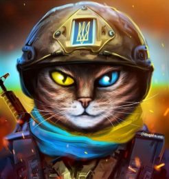 kit